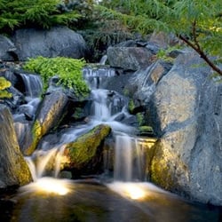 TJB-INC Landscape and Drainage Contractor - We install specialty Night Lighting to bring your landscape alive after dark!