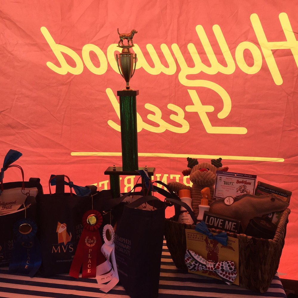 Harbor Town Dog Show - Festivals Near Me - Memphis, Tennessee