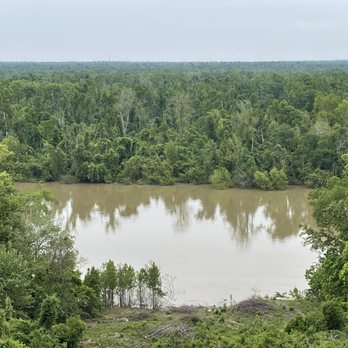 Torreya State Park - Parks Near Me - Bristol, Florida