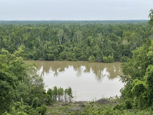Torreya State Park by null