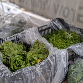 Irvine Farmers Market - Greens - Farmers Market Near Me - Irvine, California Irvine Farmers Market - Greens - Farmers Market Near Me - Irvine, California