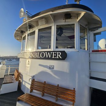 City Cruises - American Near Me - San Diego, California City Cruises - American Near Me - San Diego, California
