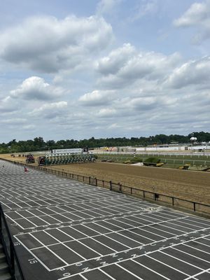 Pimlico Race Course by null