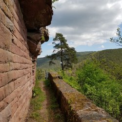 Burgruine Erfenstein - Mauerreste