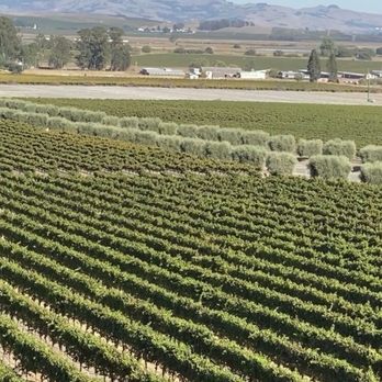 Gloria Ferrer Winery - Wineries Near Me - Sonoma, California