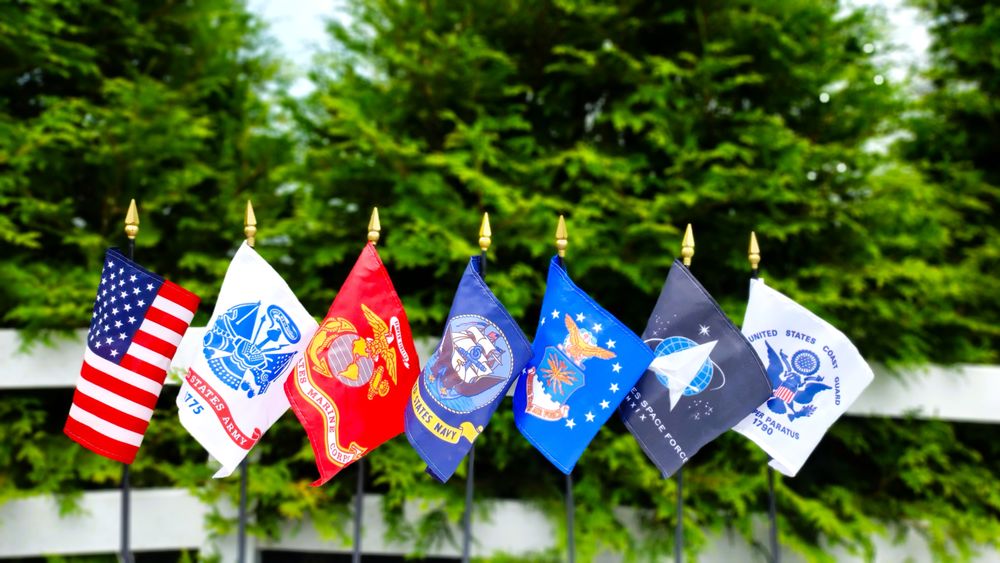 Bama Bob Tree Service - tree service in Huntsville, AL