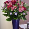 Bud And Bloom Florist And Gifts gift card