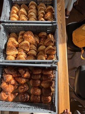 Dandelion Coffee Bar