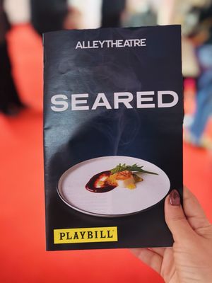 Alley Theatre by null