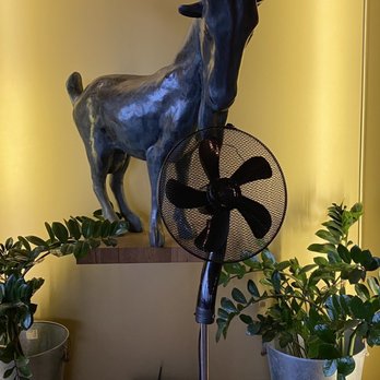 Kozlovna u Plechandy - Broken fan in the dining area - Brasseries Near Me - Písek, JC Kozlovna u Plechandy - Broken fan in the dining area - Brasseries Near Me - Písek, JC
