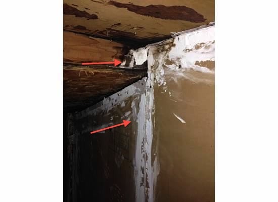 Assurance Home Inspection - mold inspector in Miami, FL