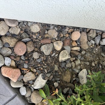 Earths Living Landscaping - Landscaping Near Me Earths Living Landscaping - Landscaping Near Me