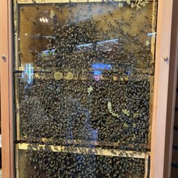 Beehive