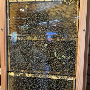 Mountain House Trading Company - Beehive - Meaderies Near Me - Afton, Virginia