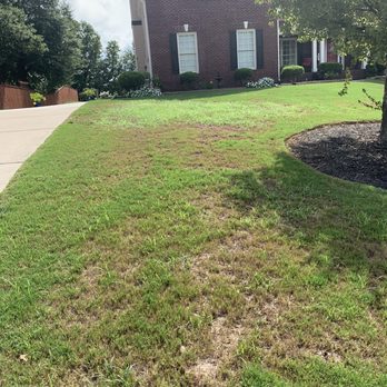 TruGreen Lawn Care - Weeds - Lawn Services Near Me - Norcross, Georgia TruGreen Lawn Care - Weeds - Lawn Services Near Me - Norcross, Georgia