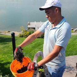 Pro Window Cleaning Calgary