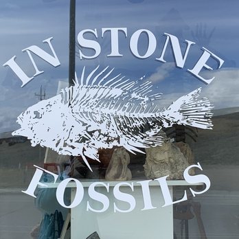 In Stone Fossils - Gemstones & Minerals Near Me - Kemmerer, Wyoming In Stone Fossils - Gemstones & Minerals Near Me - Kemmerer, Wyoming