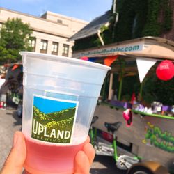 The Pickled Pedaler