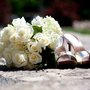 Carlson Photography