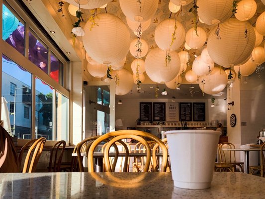 Dart Coffee Co by null