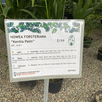 OC Succulents - We purchased this for our first indoor plant! - Nurseries & Gardening Near Me - Irvine, California OC Succulents - We purchased this for our first indoor plant! - Nurseries & Gardening Near Me - Irvine, California