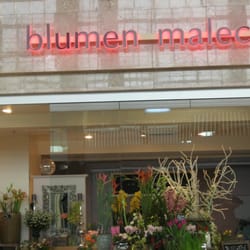 Blumen Malecek