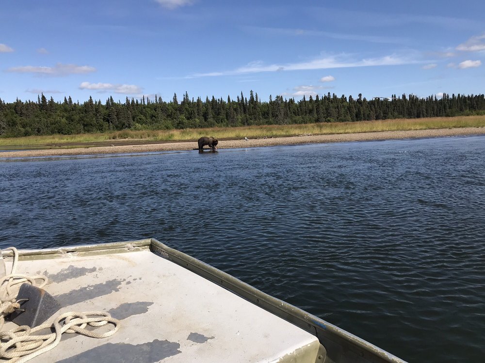 KATMAI LODGE Updated April 2024 1 King Salmon Airport Rd, King