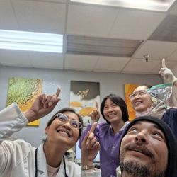 Just Dental
