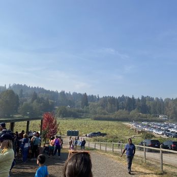 Bob's Corn & Pumpkin Farm - Pumpkin Patches Near Me - Snohomish, Washington Bob's Corn & Pumpkin Farm - Pumpkin Patches Near Me - Snohomish, Washington