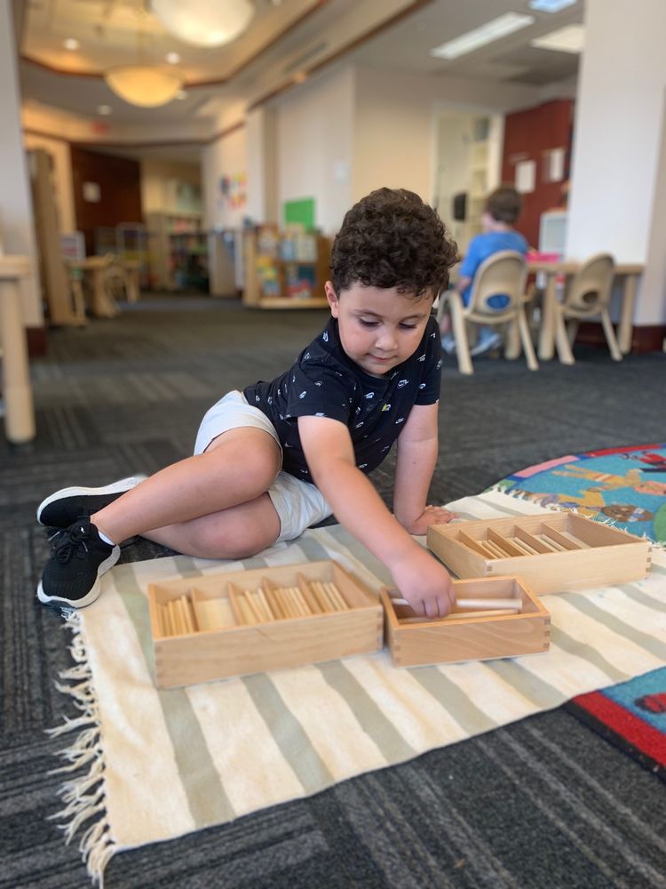 Northeast Stars Montessori Logo