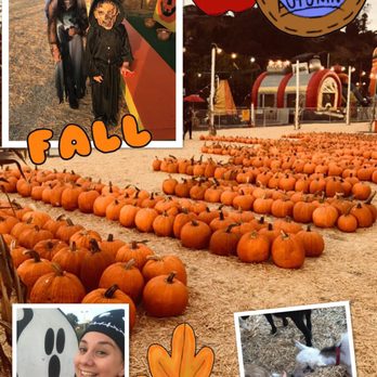 Pumpkin Station - I love Halloween Time !! - Kids Activities Near Me - National City, California Pumpkin Station - I love Halloween Time !! - Kids Activities Near Me - National City, California