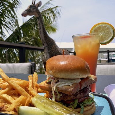 Oceanside Safari Restaurant & Lounge by null