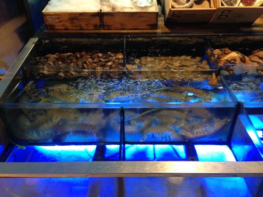 Really Good Seafood- Taipei Flagship Store by null