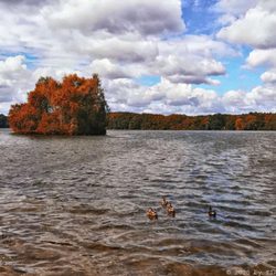 Öjendorfer Park - Herbstfarben (08/2020)