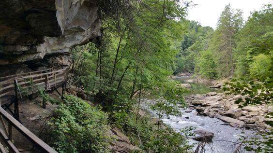 Audra State Park by null
