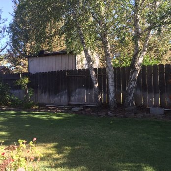 Hensel And Castillo Fencing - Before back fence - Fences & Gates Near Me Hensel And Castillo Fencing - Before back fence - Fences & Gates Near Me