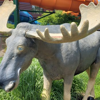Great Wolf Lodge - Mini Golf - Hotels Near Me - Niagara Falls, Ontario Great Wolf Lodge - Mini Golf - Hotels Near Me - Niagara Falls, Ontario
