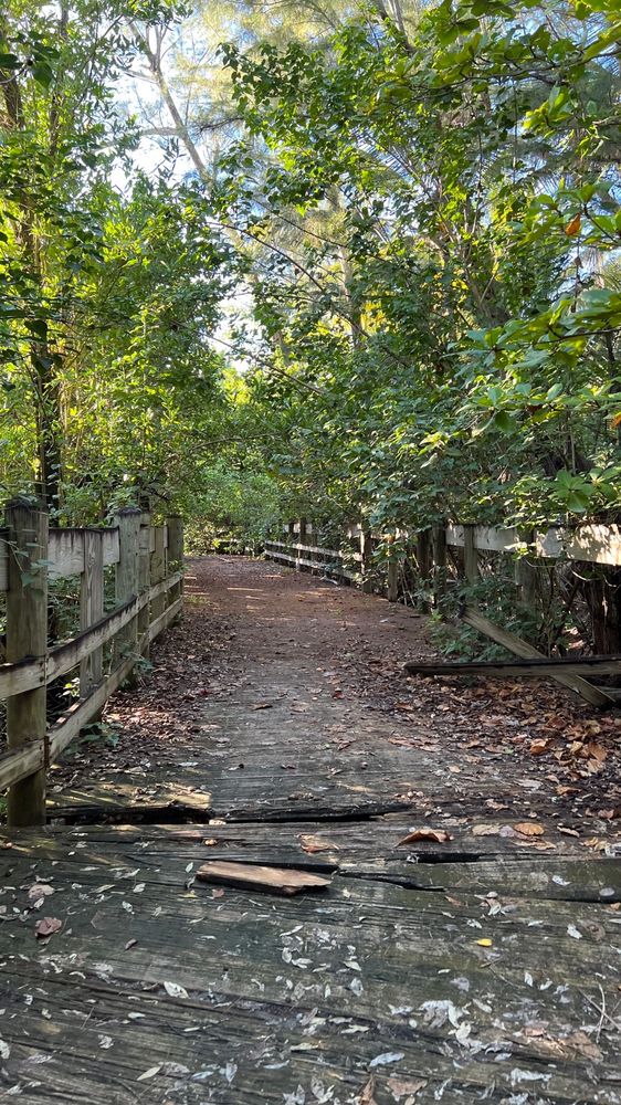 Paseo Piñones