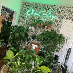 The Plant Project