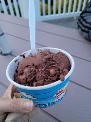 Island Creamery by null