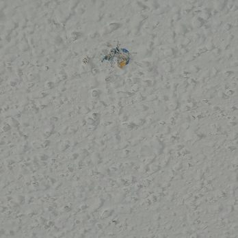 Hampton Inn Boston/Peabody - Spitballs on ceiling - Hotels Near Me - Peabody, Massachusetts Hampton Inn Boston/Peabody - Spitballs on ceiling - Hotels Near Me - Peabody, Massachusetts