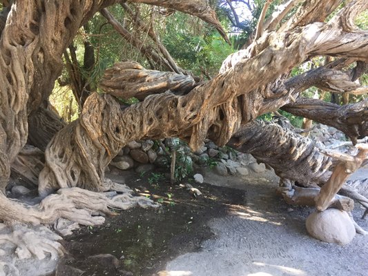 Misión San Francisco Javier de Viggé-Biaundó by null