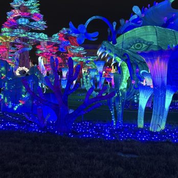 Tianyu Lights Featival - Festivals Near Me - Grand Prairie, Texas Tianyu Lights Featival - Festivals Near Me - Grand Prairie, Texas