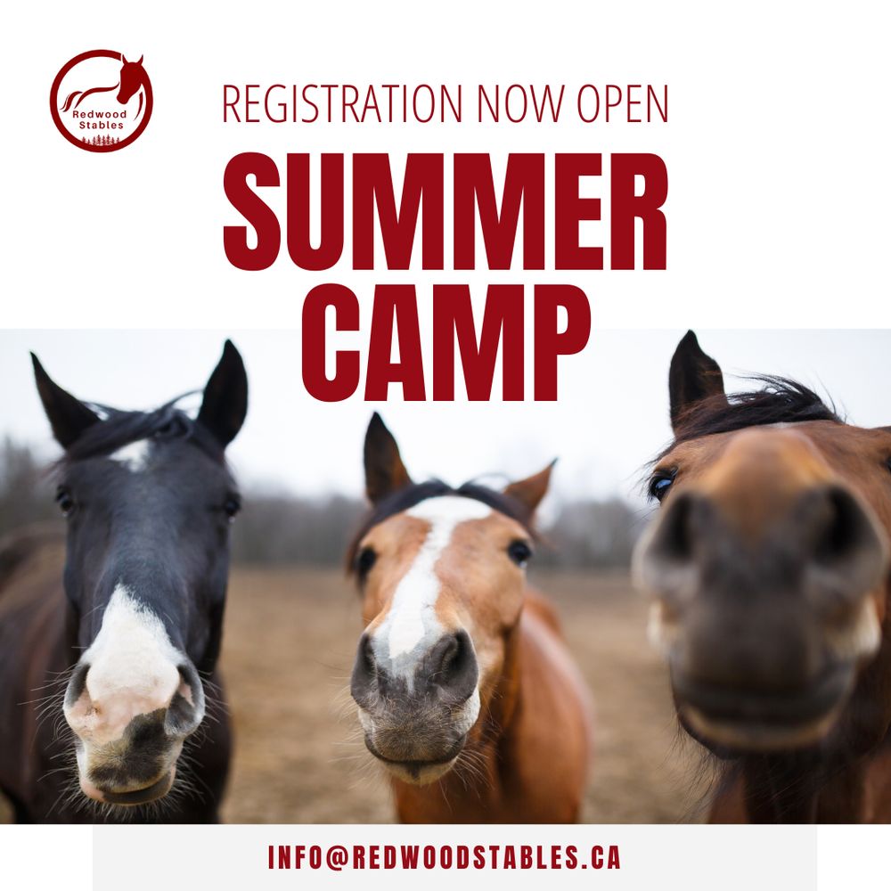 REDWOOD STABLES Updated August 2024 24 Photos 809 Wagg Road