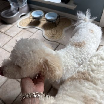 Rita's Dog Services - Pet Groomers Near Me - Northridge, California