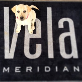 Vela Meridian Apartments - Our dog is so happy here! Especially loves the office ladies! - Apartments Near Me - Parker, Colorado Vela Meridian Apartments - Our dog is so happy here! Especially loves the office ladies! - Apartments Near Me - Parker, Colorado