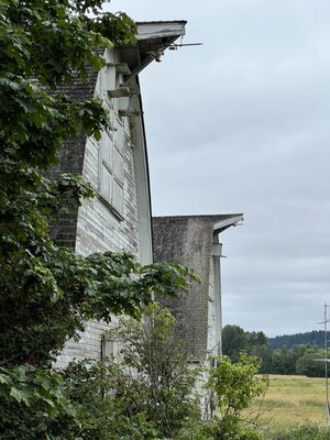 Billy Frank Jr. Nisqually National Wildlife Refuge by null