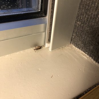 Aloft by Marriott Lexington - DEAD COCKROACH Waiting for someone to come and get it. And waiting. And waiting. And waiting. - Hotels Near Me - Lexington, Massachusetts