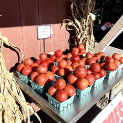 Davenport Robert O & Sons - Tomato Love