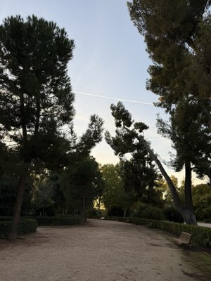 Great Pond of El Retiro by null